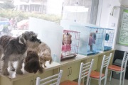 诊所展示